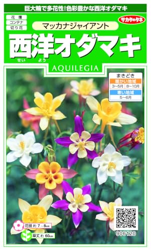 サカタのタネ 実咲花6120 西洋オダマキ マッカナジャイアント