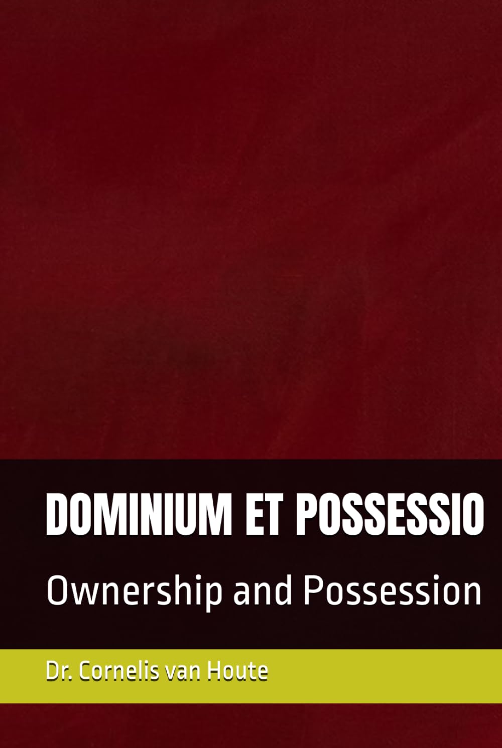 DOMINIUM ET POSSESSIO: Ownership and Possession (Roman Law Series)