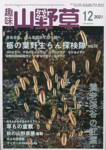 趣味の山野草 月刊誌/栃の葉書房