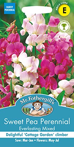 Mr Fothergill's 24630 Sweet Pea Perennial Everlasting Mixed
