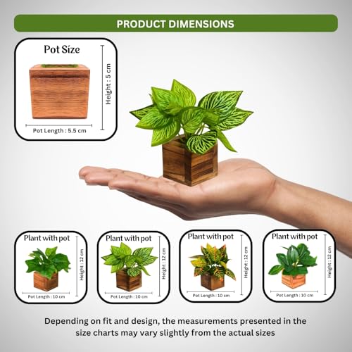 Image of DecoreBugs Artificial Leaves Potted Plants in Wooden Pot (4 Pack) Money Plant | Small Plants for Home Decor | Office Decor