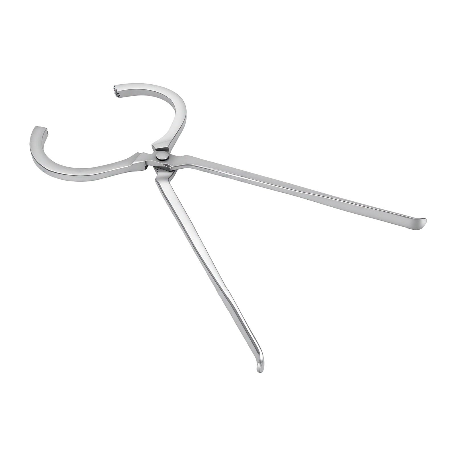 TOPINCN Pinza Prova Zoccoli per Cavalli, Tester Zoccoli Equini 48,5 Cm, for | Struttura in Acciaio Duro, Ganasce Piatte, Impugnatura Portatile, Resistente All’usura in Ambienti Umidi