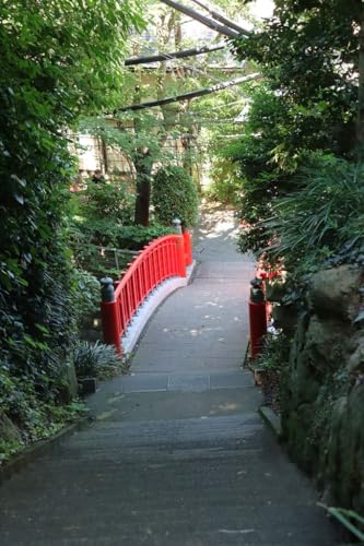 【日本の風景ポストカード】神奈川県藤沢市江ノ島の赤い橋のある風景2025のハガキはがき photo by MIRO