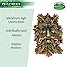 Green Man Wall Plaque – Celtic Tree Spirit Resin Sculpture for Garden or Home Décor – Forest Face Wall Art, Pagan Wiccan Celtic Decor, Outdoor Garden Wall Hanging, Hand-Painted Resin Greenman Ornament