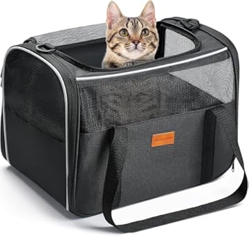 Morpilot Trasportino per Gatti, 40x26x28cm Trasporto per Gatto e Cane fino a 6 kg, Trasportino per Animali Portatile, Trasportino per Viaggi Lunghi e Brevi
