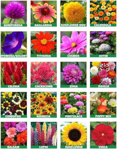 Image of Low Maintenance Hybrid Flower Seeds Combo Pack- All Year Flower Seeds Supply (15 VARIETY ALL YEAR PLANTING)