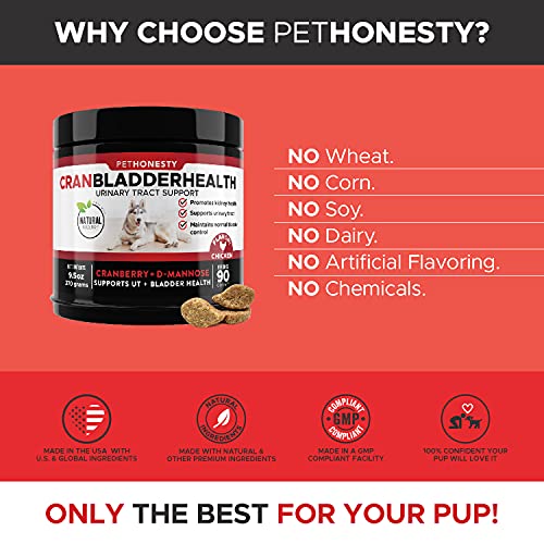 The 4 Best PetHonesty Dog Probiotic Supplements of 2024 [Verified] Cherry Picks