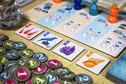 Juego de Mesa The Whatnot Cabinet de Pencil First Games – Juego Temático sobre la Naturaleza para Recolectar Objetos Intrigantes, para 1 a 4 Jugadores miniatura 3