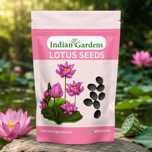 Image of Indian Gardens - Lotus Seeds for Planting | Premium Quality Lotus Flower Seeds | Suitable for Water Gardens, Containers, Ponds & Home Gardening