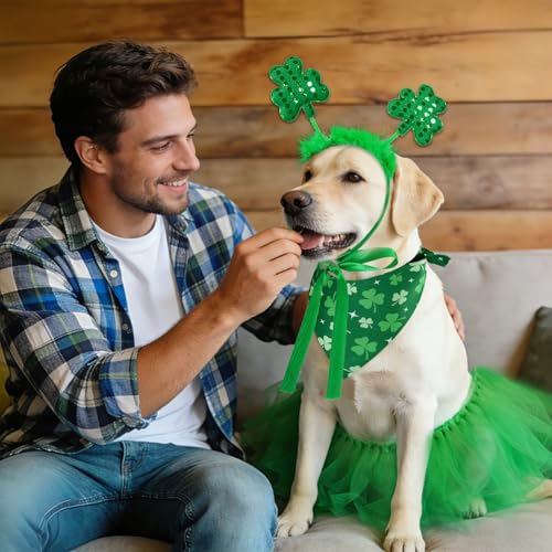 Disfraz 3 piezas para perro Día de San Patricio verde miniatura 5