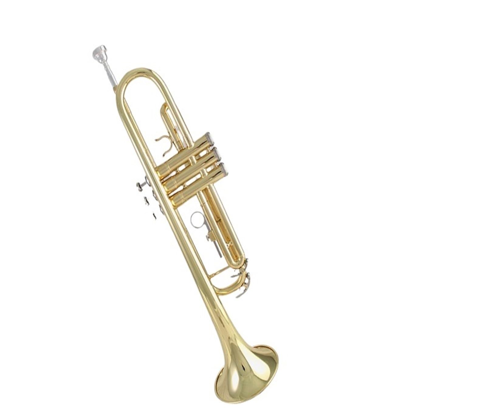 trąbka instrument Profesjonalny student trąbki B grający na ogólnym instrumencie dętym blaszanym dla początkujących