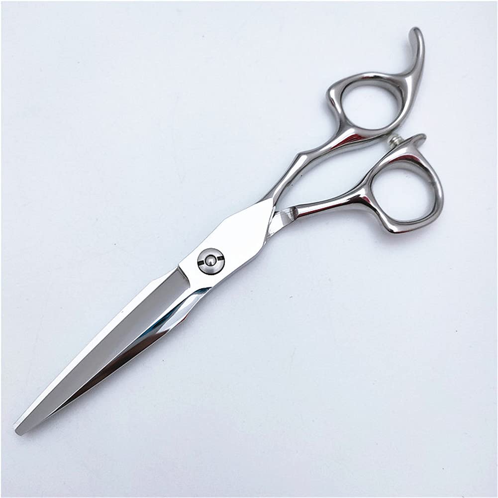 Ciseaux À Couper Les Cheveux Ciseaux Amincissement des Dents Ciseaux De Cisailles, Ciseaux De Cheveux en Acier Inoxydable De 6,0 Pouces, Ciseaux De Coupe De Cheveux pour Coiffure, Coiffeur