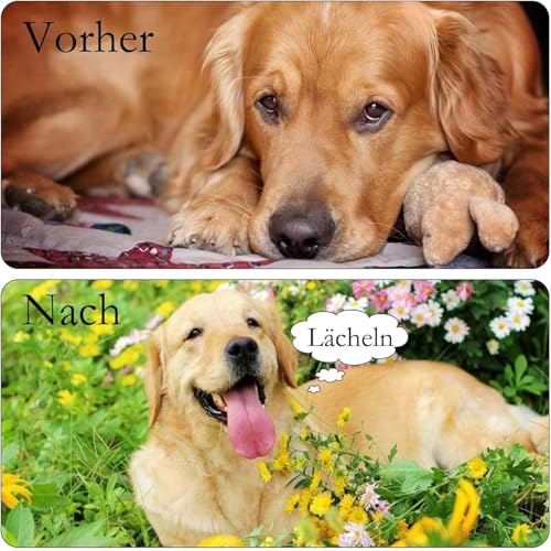 BDBFPAN Hundespielzeug Seil, Hundespielzeug Unzerstörbar Große Hunde für Aggressive Kauer, Set mit 2 unzerstörbare Kauspielzeug Robustes gedrehtes Seilspielzeug für Mittelgroße und Große Hunde