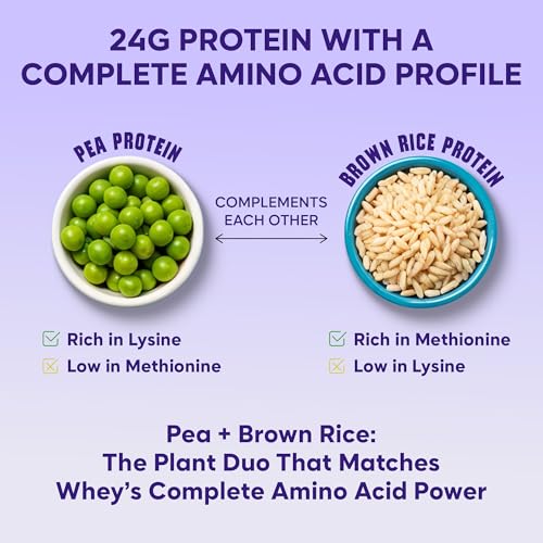 Image of Foodstrong Gut Friendly Plant Protein - Chocolate (Cacao) | 24g Complete Plant Protein with Probiotics, Digestive Enzymes, Prebiotics & Indian Herbs | Vegan | No Sugar | 6 Sachets, 240G