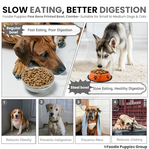 Image of Foodie Puppies Stainless Steel Dog Bowl Combo - (Medium, 700ml) Food and Water Feeding Gift Bowl | Suitable for Dogs, Cats and Other Pets I Paw Bone Print, Anti-Skid Rubber Base (Black + Orange)
