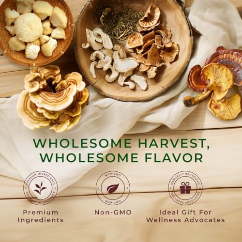 Image of Gya Tea Co Mushroom Medly Tea Pod Collection Gift Set (16 Count) - Different Flavors Assorted Variety Pack