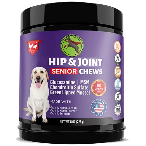 WIZARDPET Mobility Hemp Hip & Joint Supplement for Senior Dogs | Chondroitin Glucosamine MSM Turmeric Green Lipped Mussel | Extra Strength Formula for Arthritis Pain Relief & Mobility | 90 Soft Chews