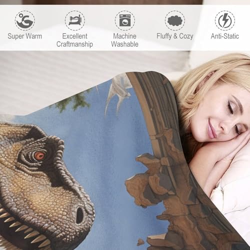 Manta de franela de dinosaurios para cama o sofá en noches frías 4