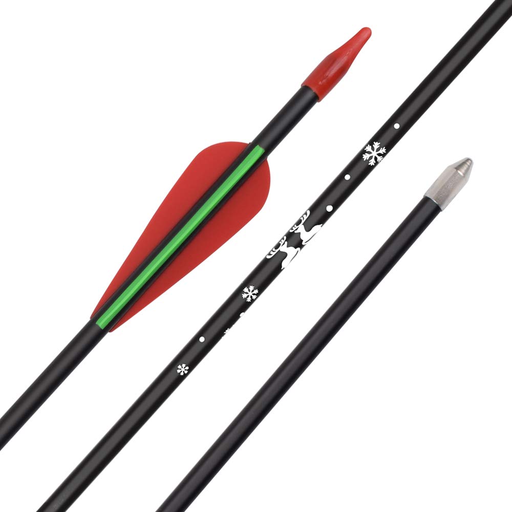 6 Flèches Débutant Fibre De Verre 30" – Pointe Conique, Empennes TPU, Pour Arc Classique