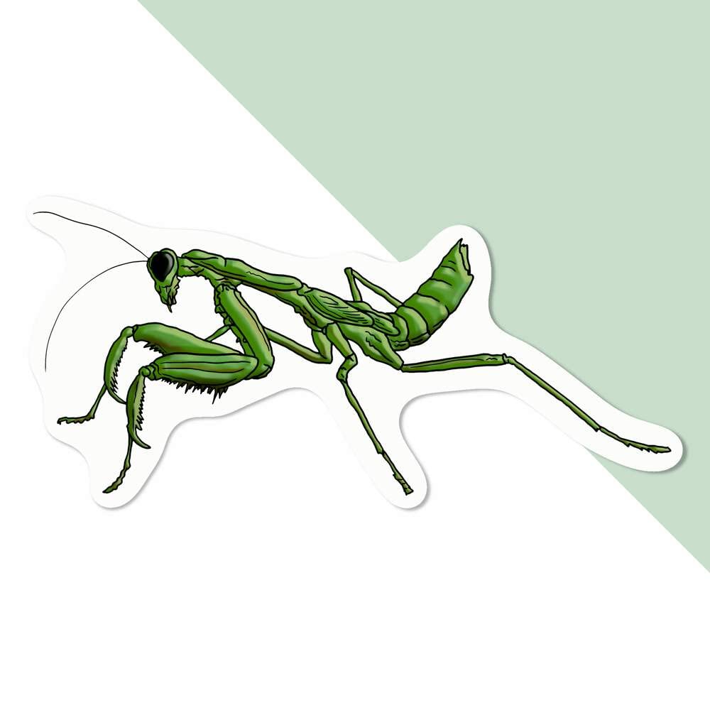 Azeeda 'Praying Mantis' White Premium Vinyl Decal Sticker – Waterproof, Durable & Easy to Apply - Ideal for Car Bumpers, Windows, Bins and More (