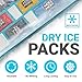 Nice Packs Reusable Dry Ice Packs for Coolers, Lunch Boxes, Frozen Food Shipping - Flexible and Long Lasting (10 Large Sheets)