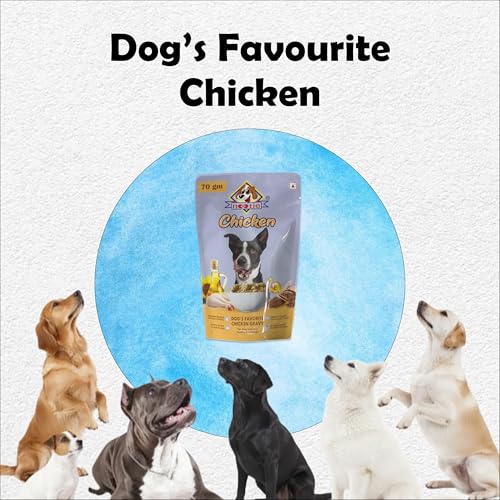 Image of Nootie Dog's Favorite Chicken Gravy-(70g) Natural Ingredients, Easy to Digest, Enhances Dog Food Gravy for Dogs, Dog Chicken Gravy, Wet Gravy for Dogs, Dog Food Topper (Pack of 3x70g)