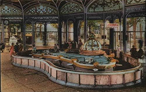 La Source Chomel Vichy, France Original Antique Postcard
