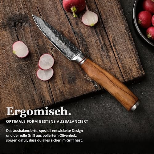 Foto von Wakoli Olive HS Officemesser & Spickmesser – 9,0 cm Klinge aus 67 Lagen Damaststahl mit VG10‑Kern, Härte 60±2 HRC, Hammerschlag, Olivenholzgriff – Damast Küchenmesser für feine Schnitte in Holzbox