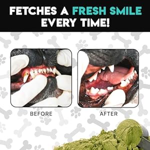 French Bulldog Optimized Dog Teeth Cleaning Powder Plaque Remover & Tartar Control - Dog Breath Freshener Strong Teeth & Gums - Dog Dental Powder Easy Teeth Cleaning - Herbal Blend - USA (60 Scoops) French Bulldog Optimized Dog Teeth Cleaning Powder Plaque Remover Tartar Control Dog Breath Freshener Strong Teeth Gums Dog Dental Powder Easy Teeth Cleaning Herbal Blend USA 60 Scoops