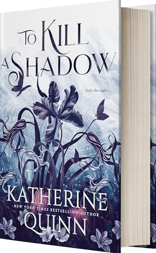To Kill a Shadow view 2