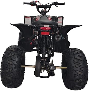 HHH 125cc ATV Fully Automatic Youth Sports ATV Gas Four Wheeler with Reverse and Big Tires 19/18 Tires