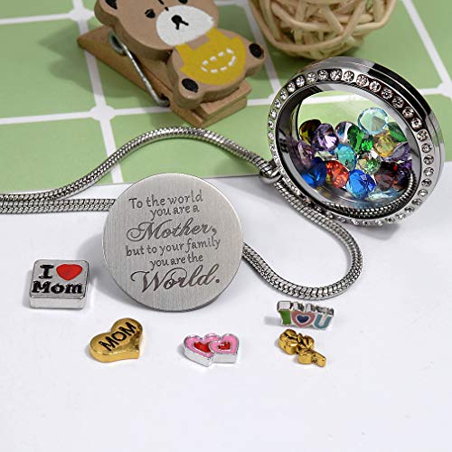 Veeshy To The World You Are A Mother... Floating Memory Living Charms Lockets, Love Mother Diy Stainless Steel Pendant Necklace, Best Gift #TOP1