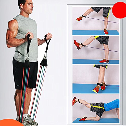 Fansport – Kit 11 peças, Elásticos para Exercício Funcional