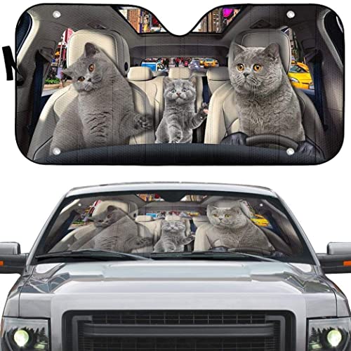 Paraguas Parasol de Coche de Gatos Scottish Fold para Evitar el Calor en Furgonetas y Coches Urbanos