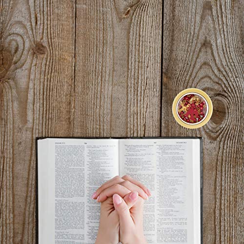 Needzo Confirmation Catholic Rosary Beads with Case, Red Beaded Prayer Necklace with Gold Tone Holy Spirit Center and Traditional Crucifix, Confirmed in Christ Keepsake Gift, 16.5 Inches4