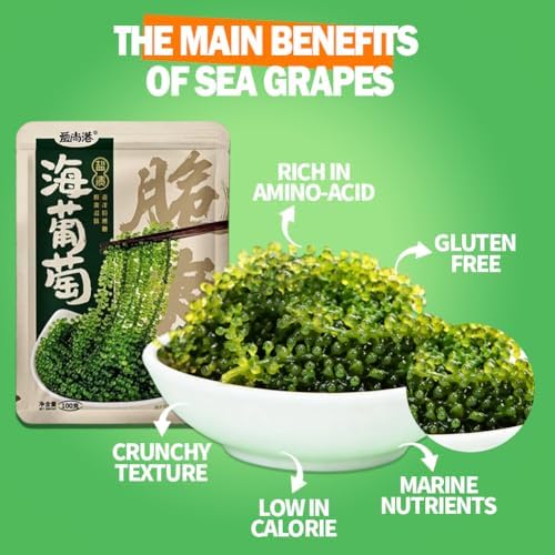 DAMAICHUHAI Sea Grapes – Dehydrated Sea Grapes to Eat with Sauce,Seaweed Salad, 100g per Bag (Pack of 2) – Gluten-Free, Vegan, Healthy Ocean Snack — view 2