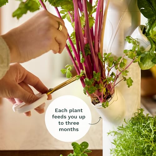 Gardyn 4.0 Hydroponics Growing System Kit & Vertical Garden Planter, 30 Non-GMO Indoor Plants Smart Garden, Herbs, Vegetables & LED Grow Lights for Indoor Gardening System