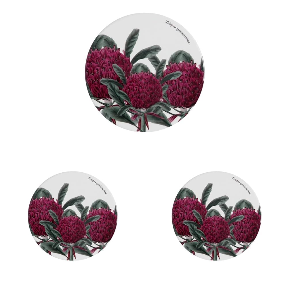 Maxwell & Williams Royal Botanic Gardens Australian Botanics Ceramic Round Coaster 9.5cm Telopea...