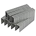 Bostitch Heavy Duty Premium Staples for B380HD Stapler, 2-180 Sheets, 1,000 Per Box (SB38HD-1M)