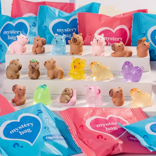 Nerfcareani 100 Pcs Capybara Mystery Bags