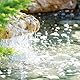 Weitz-Wasserwelt Starterbakterien - Hochaktive Mikroorganismen für Garten- und Schwimmteiche
