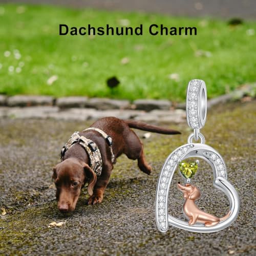 Dije de perro salchicha en plata de ley 925 con gema mensual de alta joyería 6
