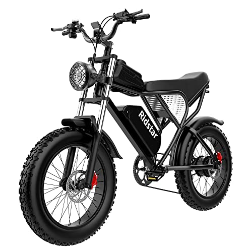 RidStar Electric Bike for Adults, Electric Mountain Bike, 20" Fat Tire EBike Foldable Electric