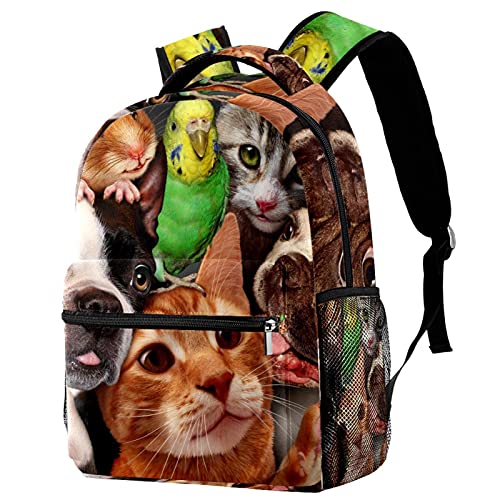 Sac à dos pour chien et chat Campus : transport d'animaux avec porte-bouteille