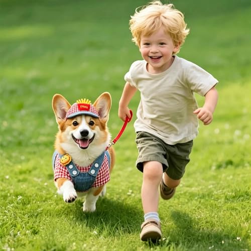 Hundegeschirr für Haustiere | Haustierbedarf mit Hut | Geschirrweste mit Trainingsseil-Set für Hunde - für kleine, mittlere und große Welpen Outdoor alltägliche Spaziergänge Outdoor – Bild 3