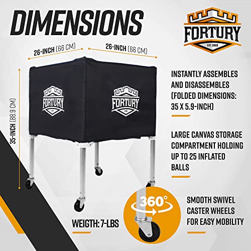 Portable Volleyball Cart on Wheels Ball Cart Collapsible Volleyball Ball Cart Garage Ball Storage (Black)