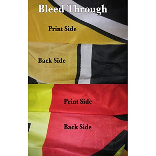 INCOME TAX E-FILE Flutter Feather Banner Flag Kit (Flag, Pole, & Ground Mt)
