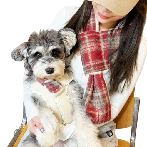 Diexgiy eq}t[ 2_Zbg ybgp}t[ C^NeBufUC g H~ ^E^ELɍœK Mtg zf[ a p[eB[ X^C (bh,XL)