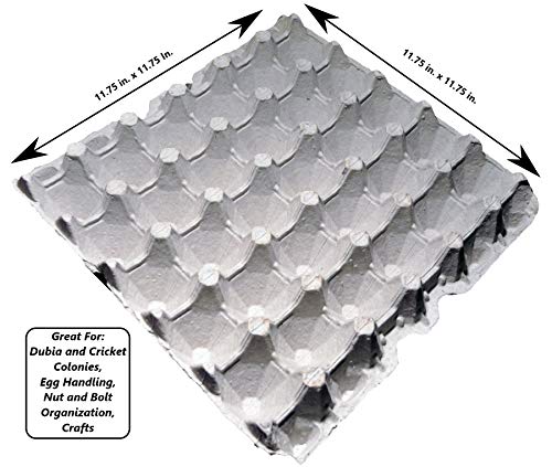 Egg Flats Egg Cartons Cheap Bulk - Egg Tray Egg Carton For Your Dubia Roach Colonies by G&T Country Living, LLC - Thumbnail 4