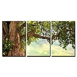 wall26 - 3 Piece Canvas Wall Art - Spring Meadow with Big Tree with Fresh Green Leaves - Modern Home Decor Stretched and Framed Ready to Hang - 24
